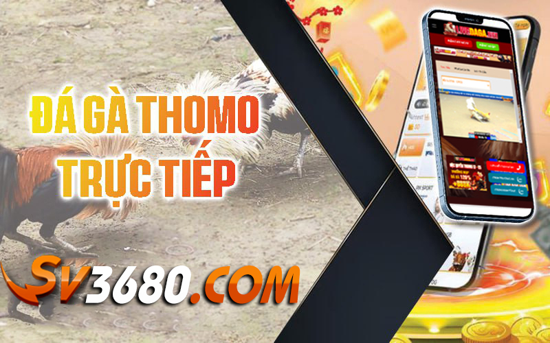 Trực tiếp đá gà Sv3680 – Trực tiếp Thomo hàng ngày