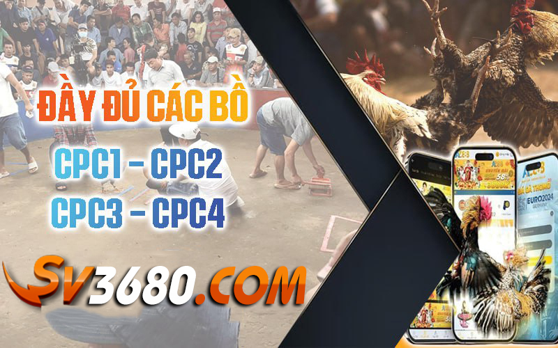 Truc-tiep-day-du-cac-bo-ga-sv3680